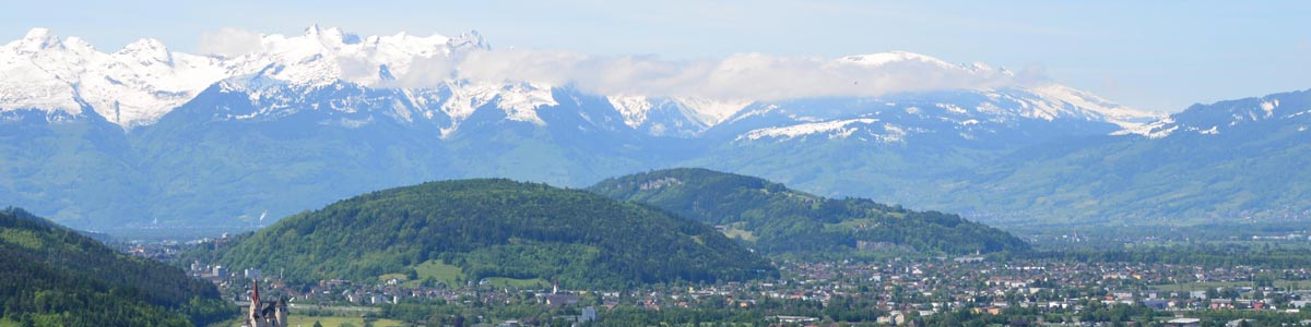 Panorama Rankweil Vorderland Amann Immobilien