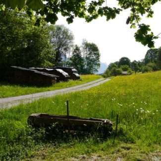 Wald & Wiese - Liegenschaft in Nenzing - Amann Immobilien