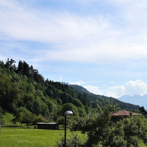 3-Zimmer-Mietwohnung in Rankweil - Amann Immobilien