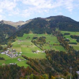 Hanggrundstück in Raggal - Amann Immobilien