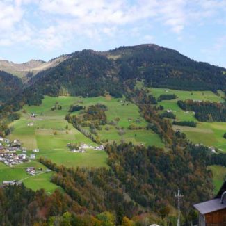 Hanggrundstück Raggal - Amann Immobilien
