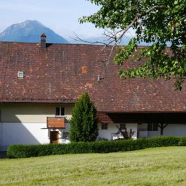 Mehrfamilienhaus in Fraxern - Nordansicht - Amann Immobilien