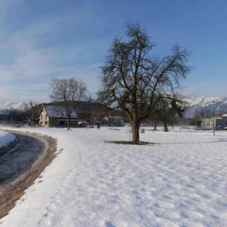 Baugrund in Rankweil, Andreasweg - Amann Immobilien