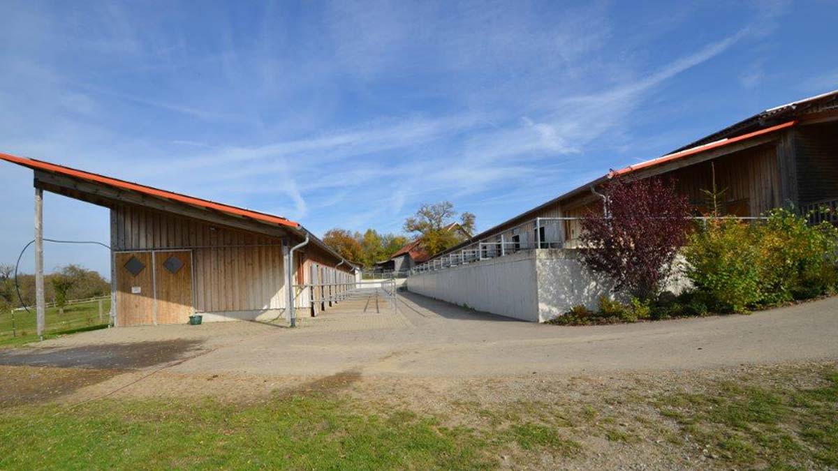 Reiterhof - Amann Immobilien