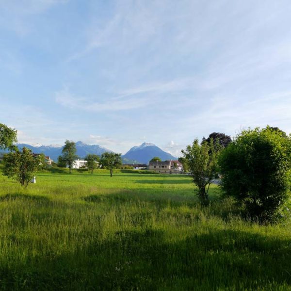 Gasthaus Engel in Weiler - Gewerbeimmobilie - Amann Immobilien