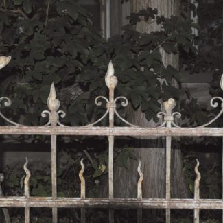 Villa im Zentrum von Rankweil - Amann Immobilien