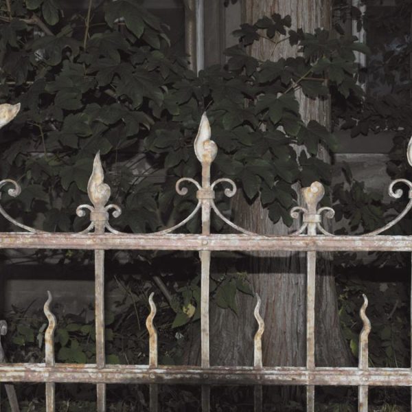 Villa im Zentrum von Rankweil - Amann Immobilien