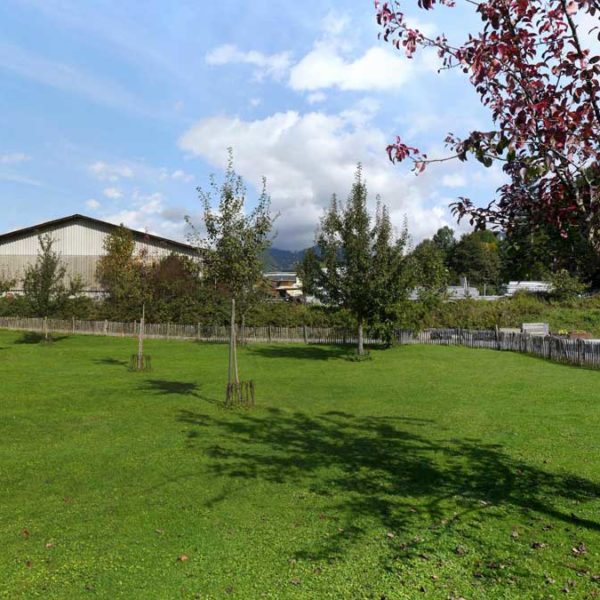 2 schöne Grundstücke in ruhiger Lage in Rankweil - Amann Immobilien