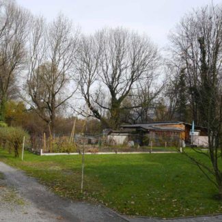 Grundstück mit 660 m2 in Götzis - Amann Immobilien