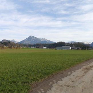 Landwirtschaftliche Grundstücke in Schlins - Amann Immobilien