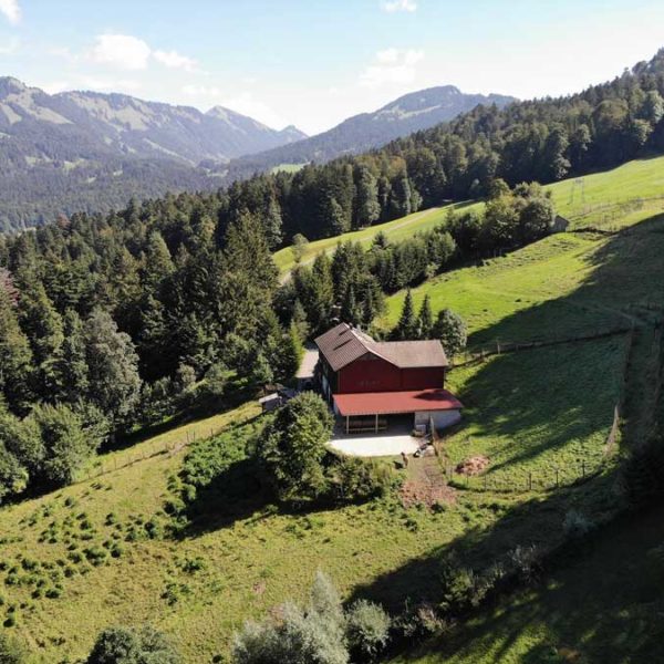 Landwirtschaftliches Anwesen in Hittisau - Amann Immobilien
