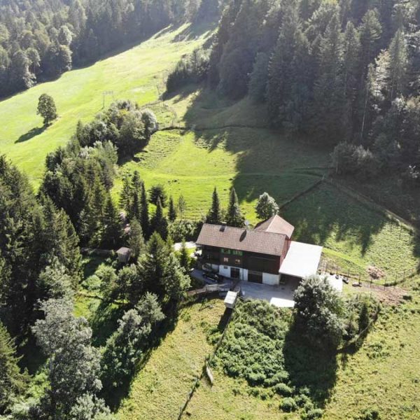 Landwirtschaftliches Anwesen in Hittisau - Amann Immobilien