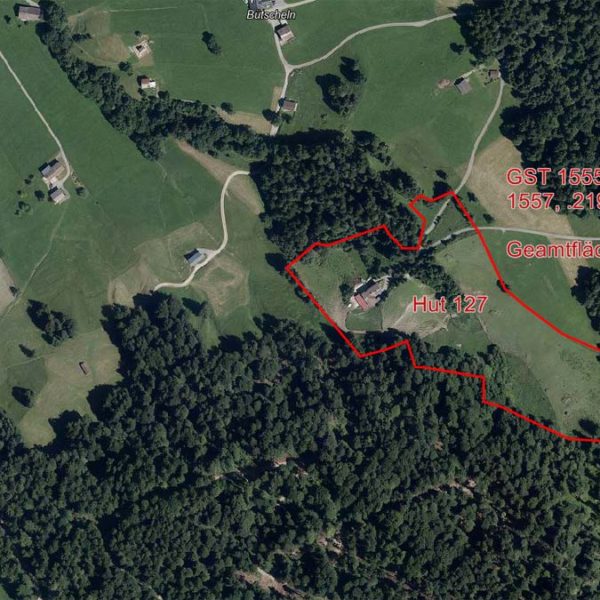 Landwirtschaftliches Anwesen in Hittisau - Amann Immobilien