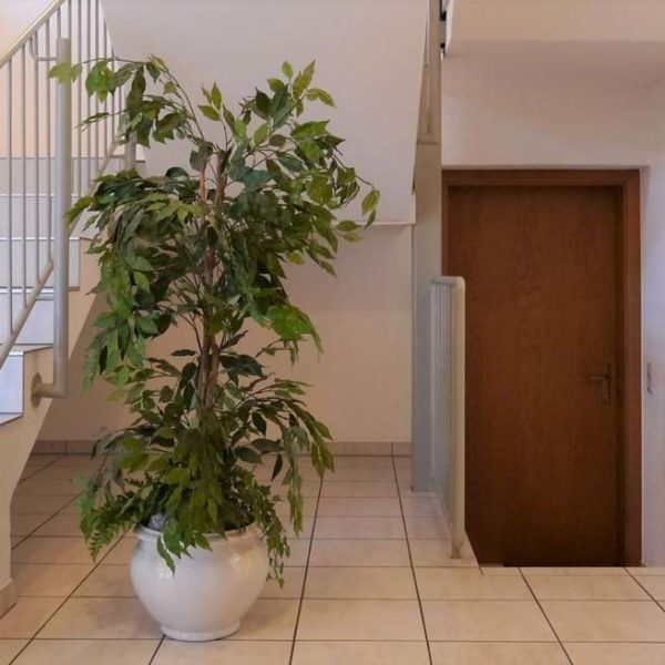 3-Zimmer-Gartenwohnung in Feldkirch-Tisis - Amann Immobilien