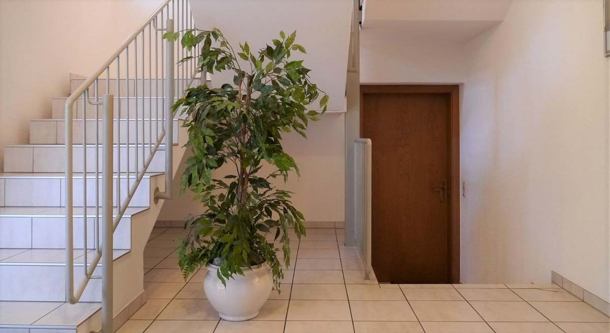3-Zimmer-Gartenwohnung in Feldkirch-Tisis - Amann Immobilien