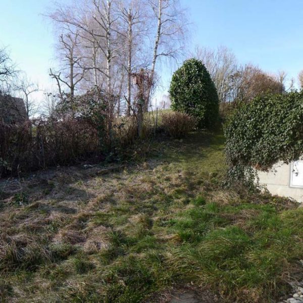 3-Zimmer-Gartenwohnung in Feldkirch-Tisis - Amann Immobilien