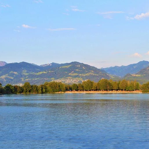 Mehrfamilienhaus mit 4 Wohnungen in Rankweil - Amann Immobilien