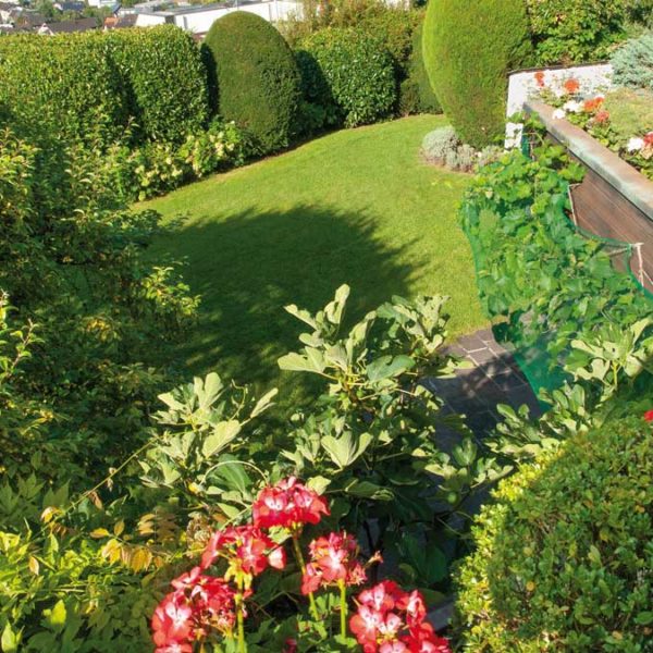 Villa in Röthis - Garten mit Feigen, Tauben etc. - Amann Immobilien