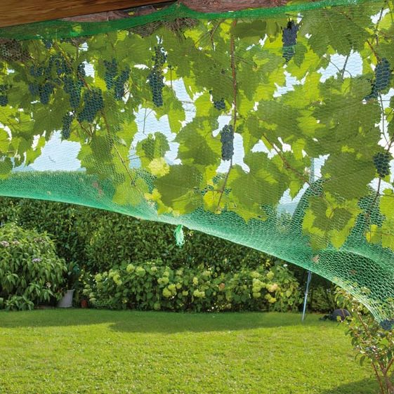 Villa in Röthis - Garten - Amann Immobilien