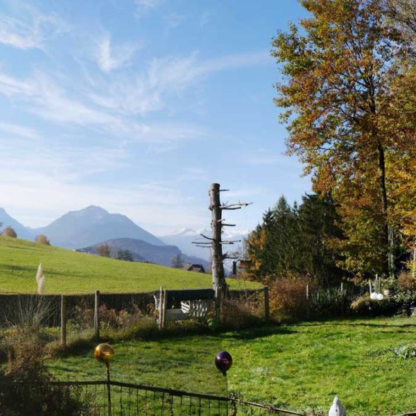 Einfamilienhaus am Waldrand in Zwischenwasser - Amann Immobilien