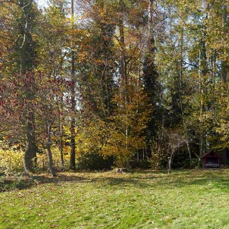 Einfamilienhaus am Waldrand in Zwischenwasser - Amann Immobilien