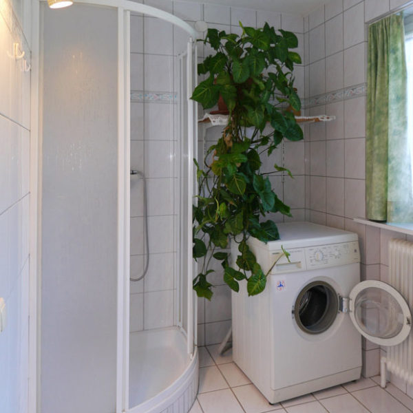 Einfamilienhaus am Waldrand in Zwischenwasser - Amann Immobilien