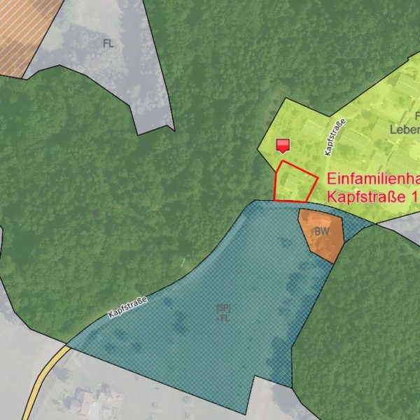 Einfamilienhaus am Waldrand in Zwischenwasser - Amann Immobilien