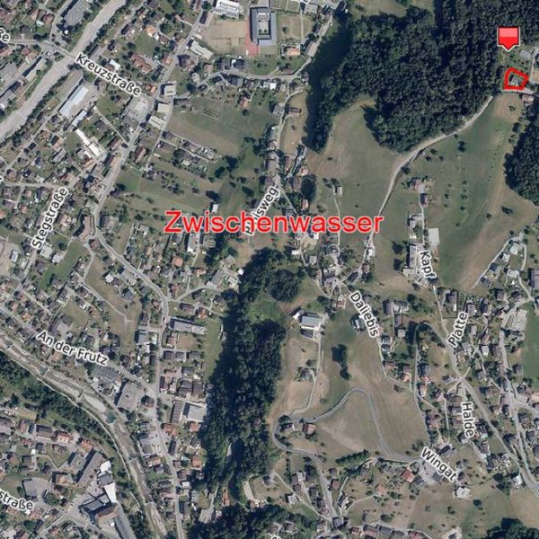 Einfamilienhaus am Waldrand in Zwischenwasser - Amann Immobilien