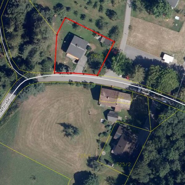 Einfamilienhaus am Waldrand in Zwischenwasser - Amann Immobilien