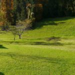 Haus und Baugrund am Waldrand in Göfis - Amann Immobilien