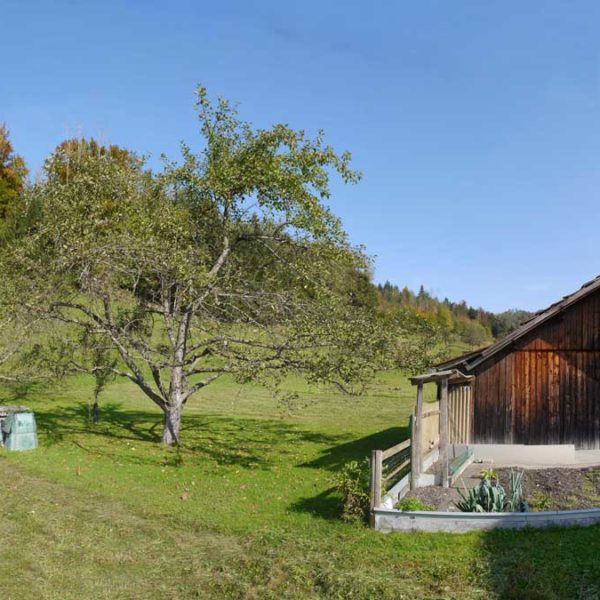 Haus und Baugrund am Waldrand in Göfis - Amann Immobilien