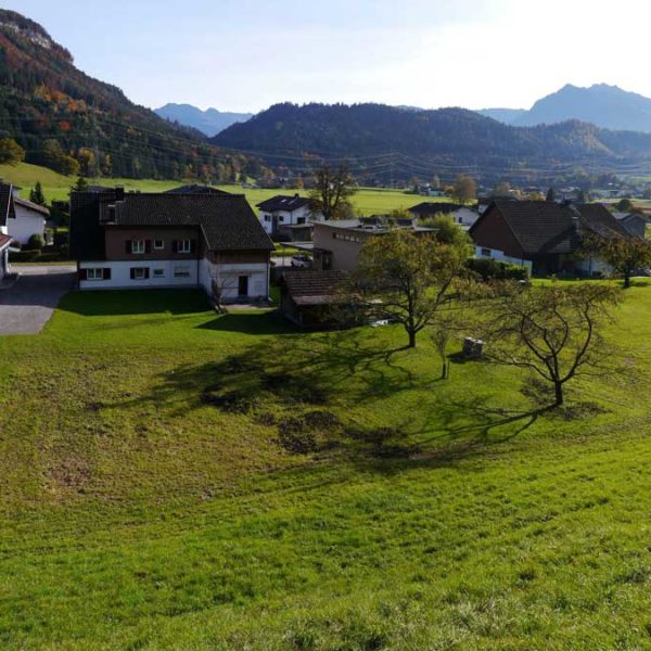 Haus und Baugrund am Waldrand in Göfis - Amann Immobilien