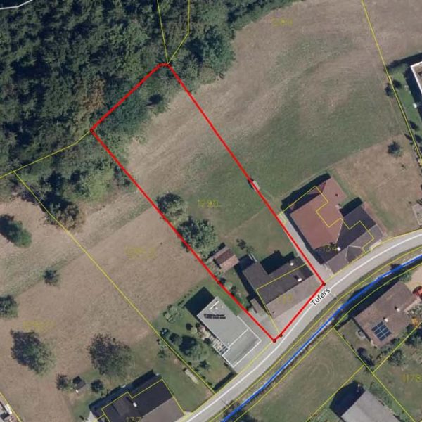Haus und Baugrund am Waldrand in Göfis - Katasterplan - Amann Immobilien