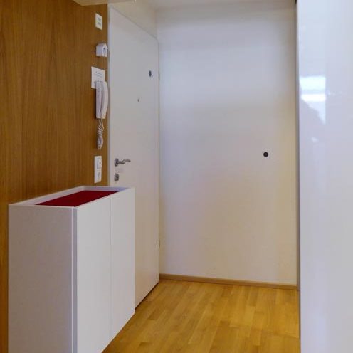 3-Zimmer-Lifestyle-Wohnung mit grosser Terrasse in Feldkirch - Amann Immobilien