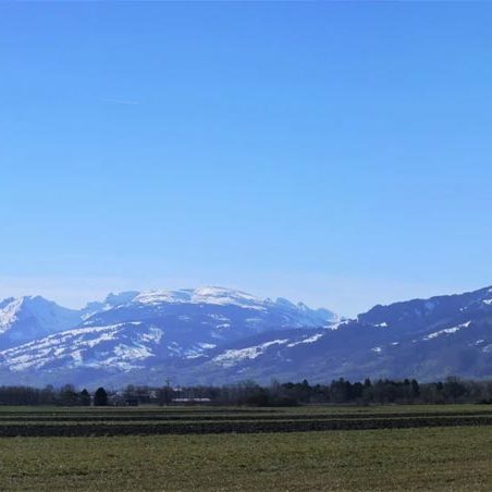 Kleiner Baugrund ruhige und sonnige Lage in Feldkirch-Bangs - Amann Immobilien
