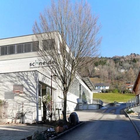 Gewerbeflächen und Büroflächen in Ludesch - Amann Immobilien