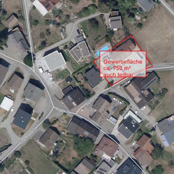 Gewerbeflächen und Büroflächen in Ludesch - Amann Immobilien