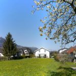 Ruhig und sonnig gelegener Baugrund in Nenzing - Amann Immobilien