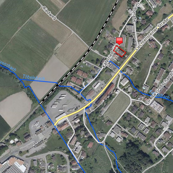 Einfamilienhaus in Feldkirch - Amann Immobilien