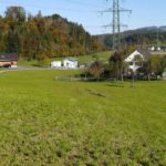 Landwirtschaftliche Grundstücke in Göfis - Amann Immobilien