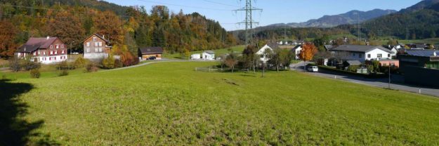 Landwirtschaftliche Grundstücke in Göfis - Amann Immobilien