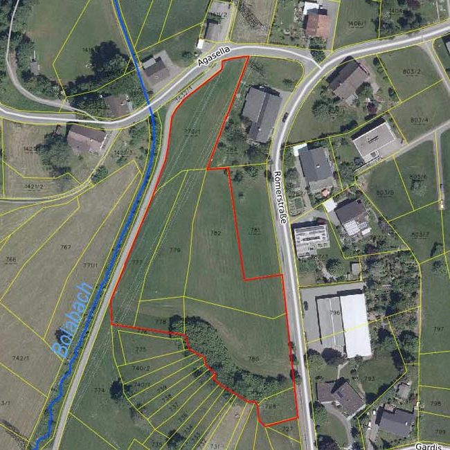 Landwirtschaftliche Grundstücke in Göfis - Amann Immobilien GmbH