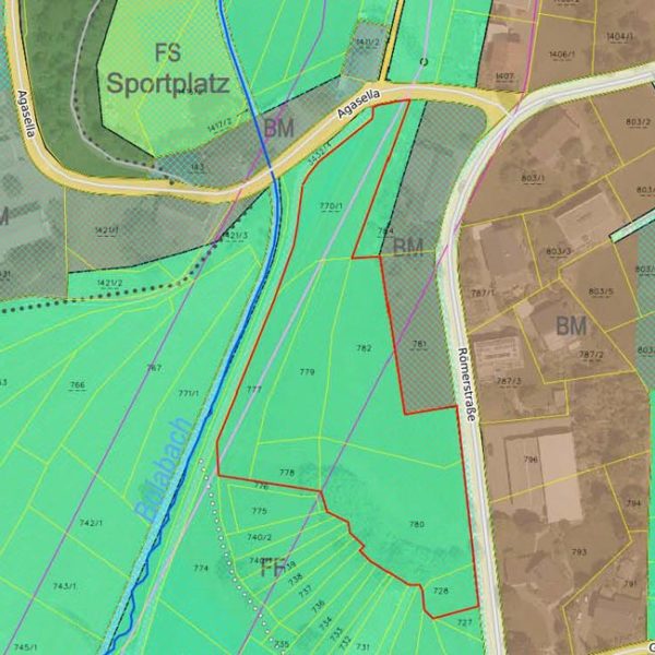 Landwirtschaftliche Grundstücke in Göfis - Amann Immobilien