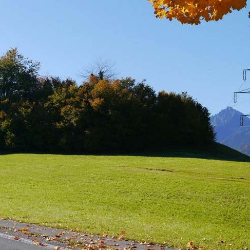 Sonniger Baugrund in Göfis - Amann Immobilien