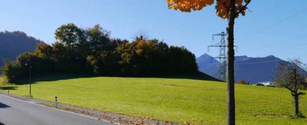 Sonniger Baugrund in Göfis - Amann Immobilien