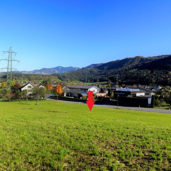 Sonniger Baugrund in Göfis - Amann Immobilien