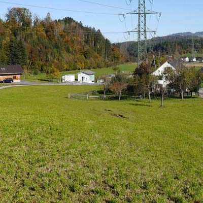 Sonniger Baugrund in Göfis - Amann Immobilien