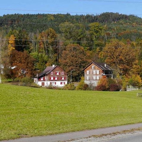 Sonniger Baugrund in Göfis - Amann Immobilien