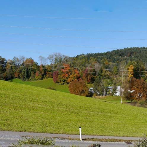 Sonniger Baugrund in Göfis - Amann Immobilien