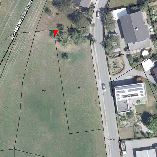 Sonniger Baugrund in Göfis - Amann Immobilien